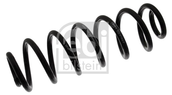 Suspension Spring